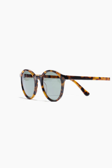 Layton Sunglasses